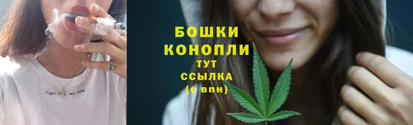 PSILOCYBIN Белоозёрский